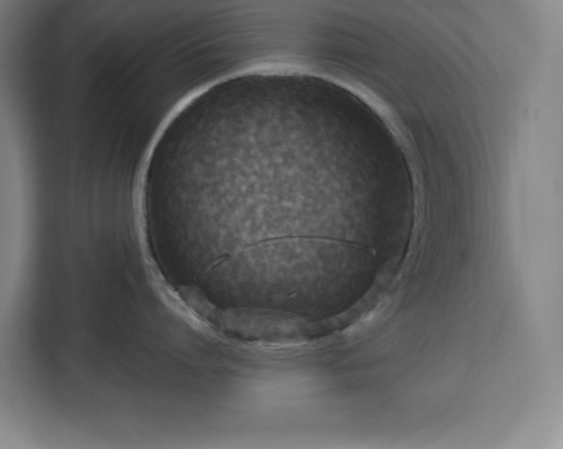 X0000112950864200908311508