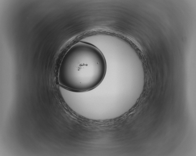 X0000112950872200908311507