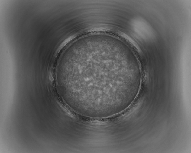 X0000112950874200908311507