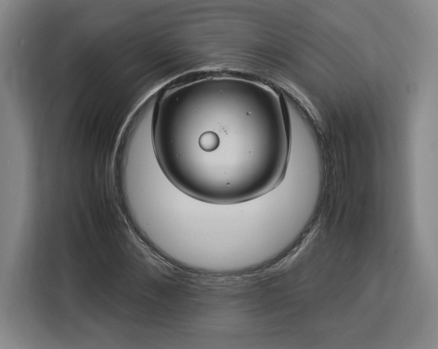 X0000112950876200908311507