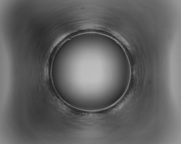 X0000112950877200908311507