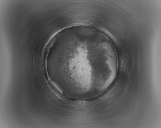 X0000112950878200908311507