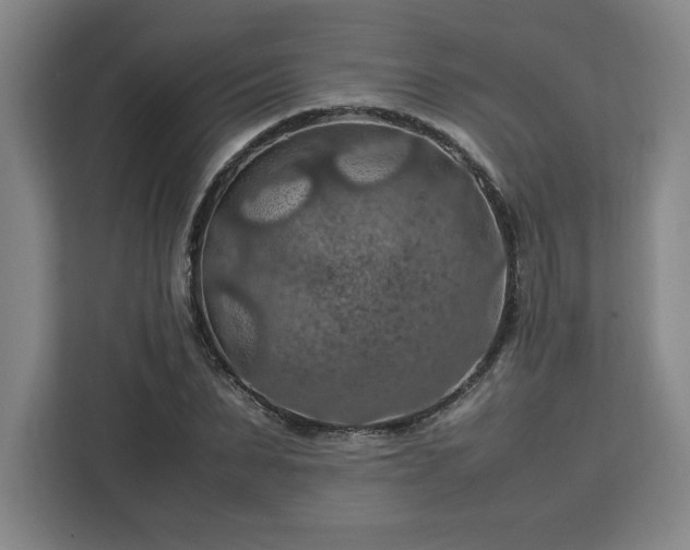 X0000112950879200908311507