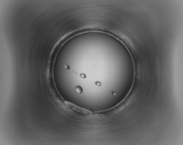 X0000112950880200908311507