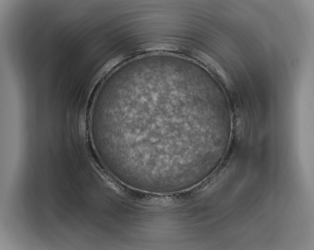 X0000112950882200908311507