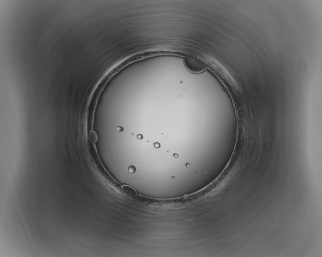 X0000112950884200908311507