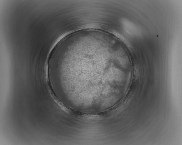 X0000112950886200908311507