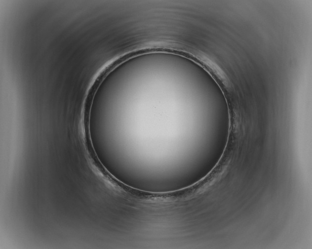 X0000112950888200908311507