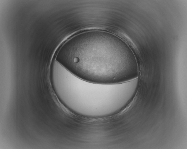 X0000112950892200908311507