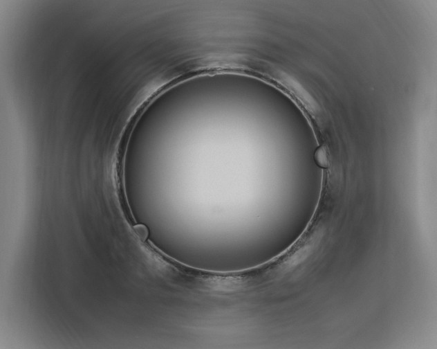 X0000112950893200908311507