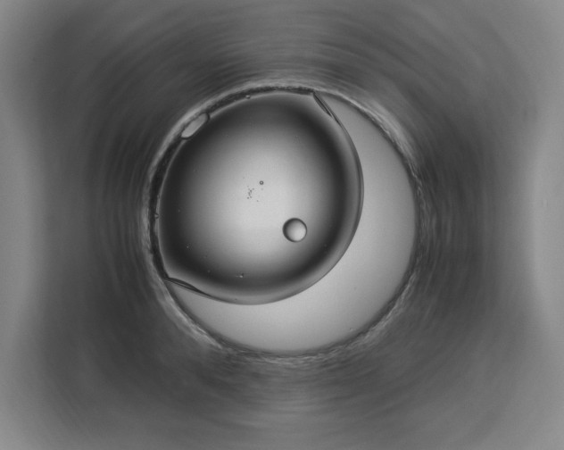 X0000112950896200908311507