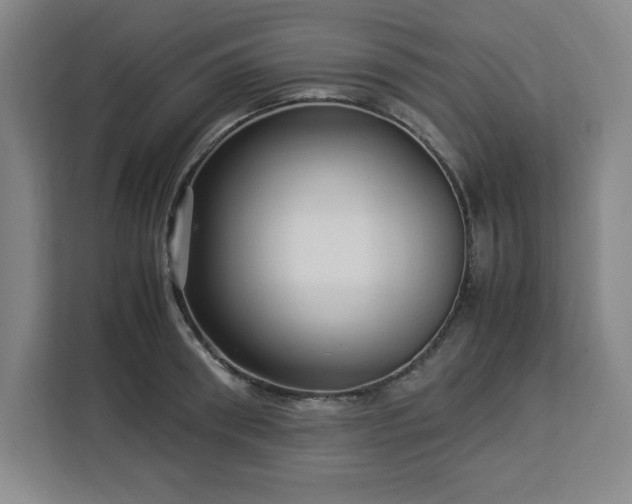 X0000112950898200908311507