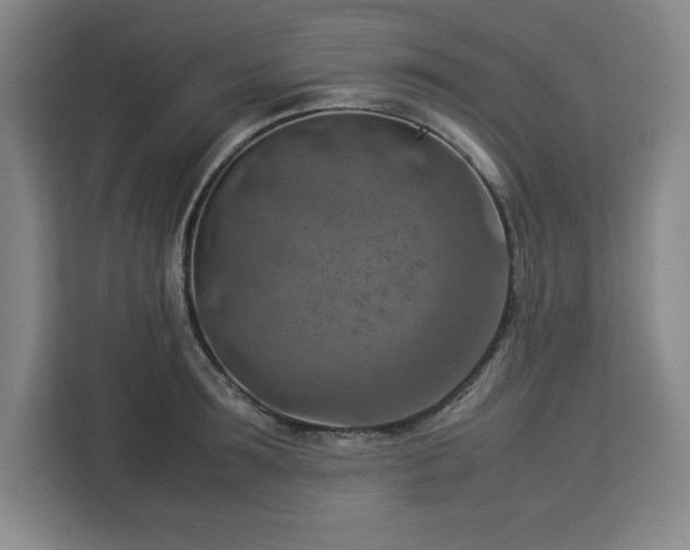 X0000112950899200908311507