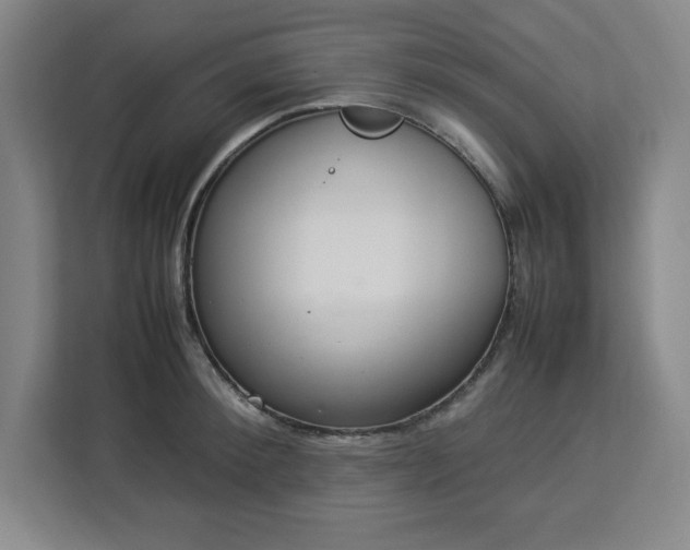 X0000112950900200908311507