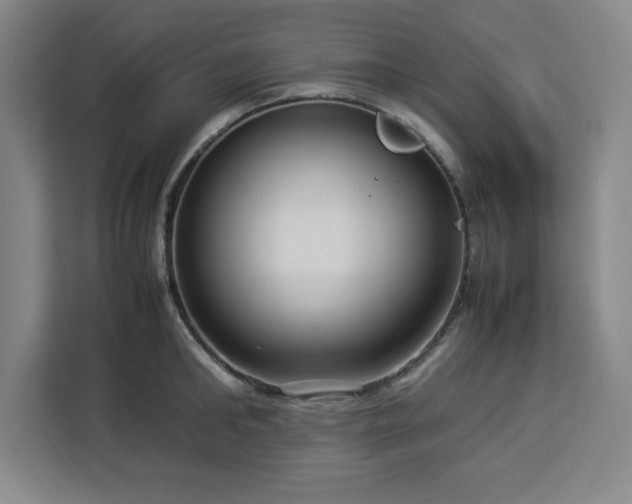 X0000112950902200908311507