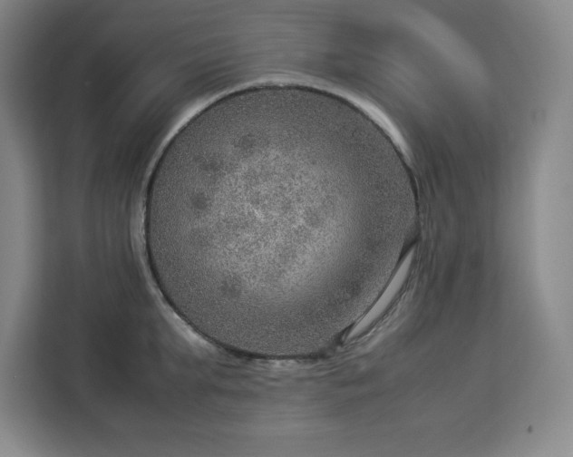 X0000112950903200908311507