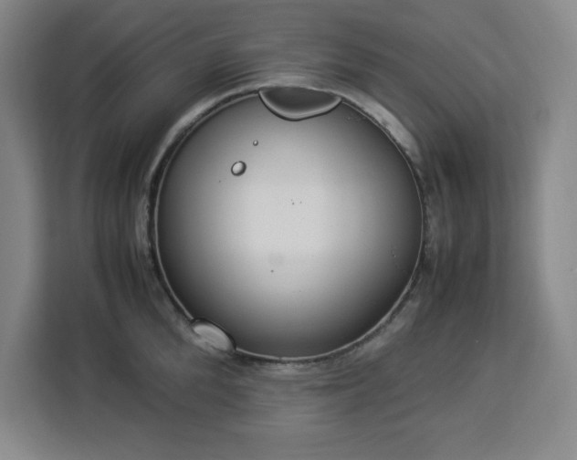 X0000112950904200908311507