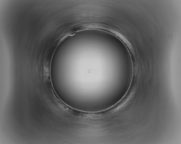 X0000112950905200908311507