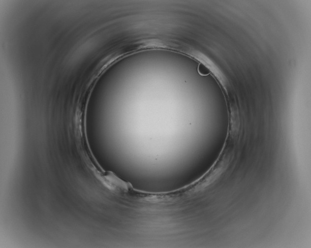 X0000112950906200908311507