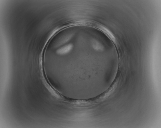 X0000112950907200908311507