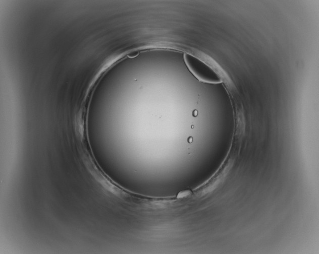 X0000112950908200908311507