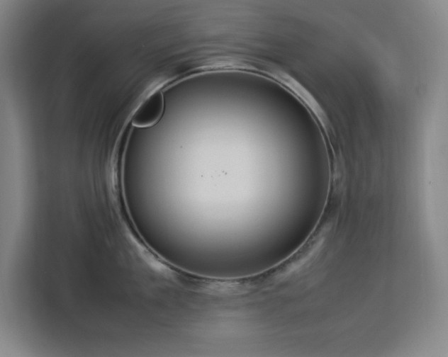 X0000112950909200908311507