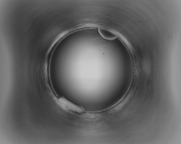 X0000112950910200908311507