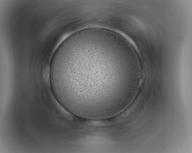 X0000112950911200908311506