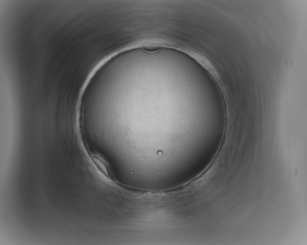 X0000112950912200908311506