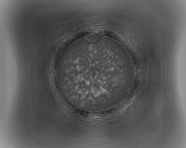 X0000112950913200908311506