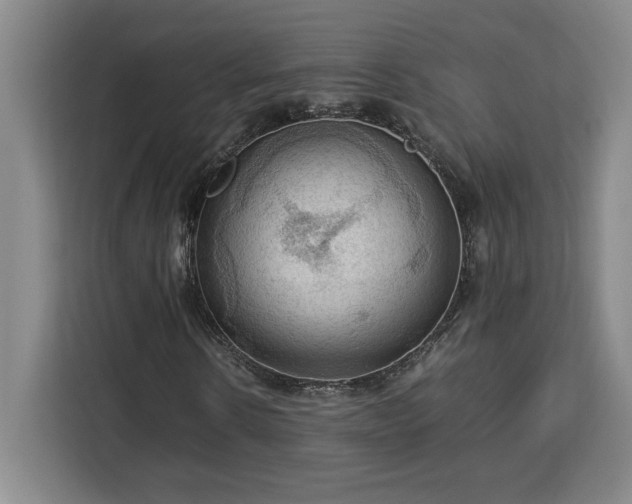 X0000112950914200908311506