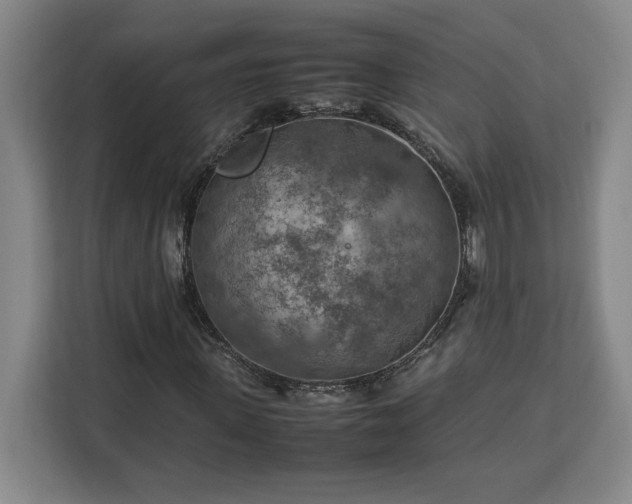 X0000112950915200908311506