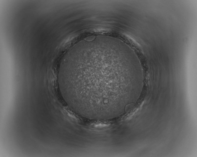 X0000112950917200908311506