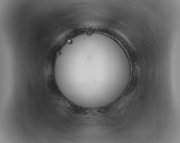 X0000112950918200908311506