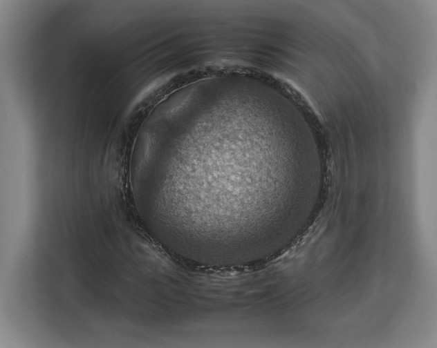 X0000112950919200908311506