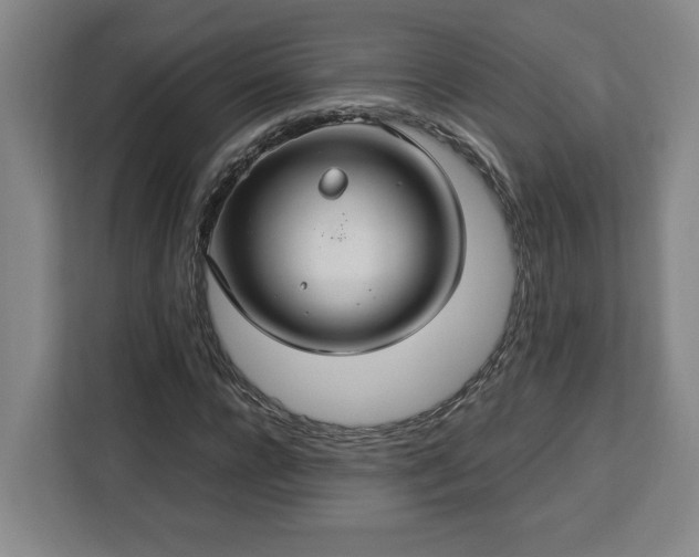 X0000112950920200908311506