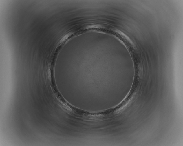 X0000112950921200908311506