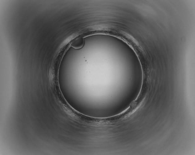 X0000112950922200908311506