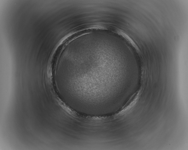 X0000112950923200908311506