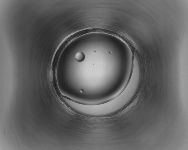 X0000112950924200908311506