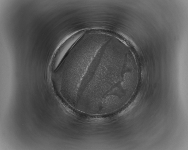 X0000112950925200908311506