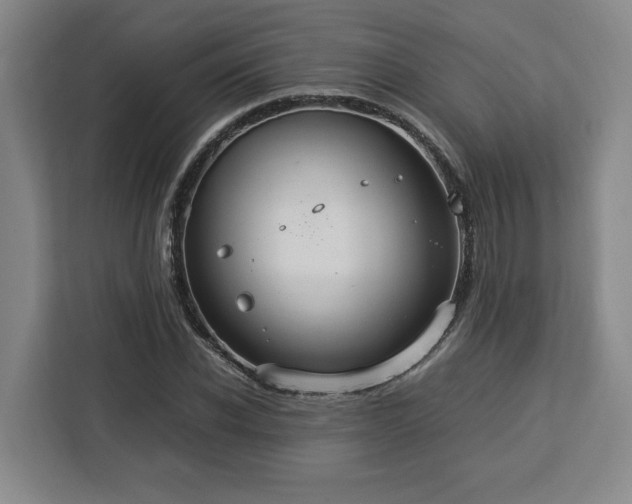 X0000112950926200908311506