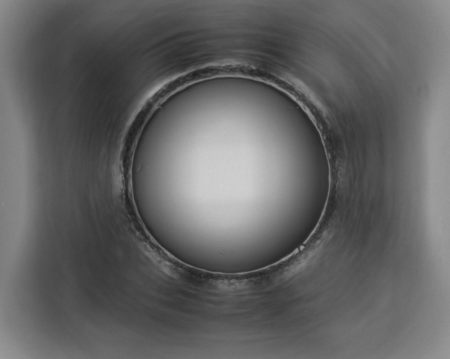 X0000112950927200908311506