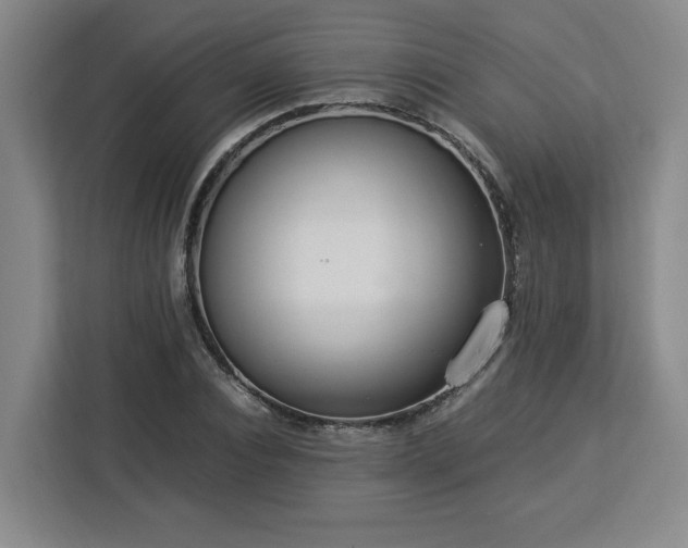 X0000112950928200908311506