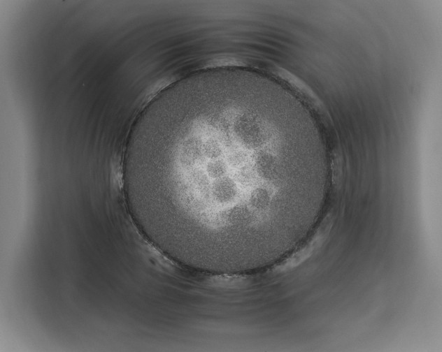 X0000112950929200908311506