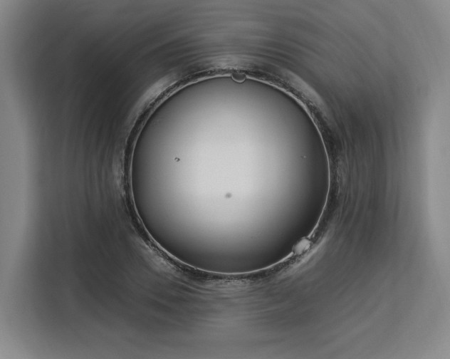 X0000112950930200908311506