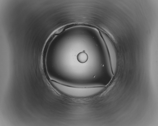 X0000112950932200908311506