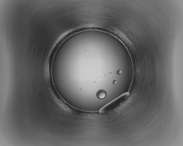 X0000112950934200908311506