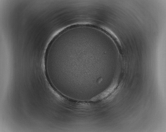 X0000112950935200908311506