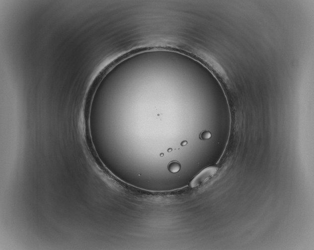 X0000112950936200908311506